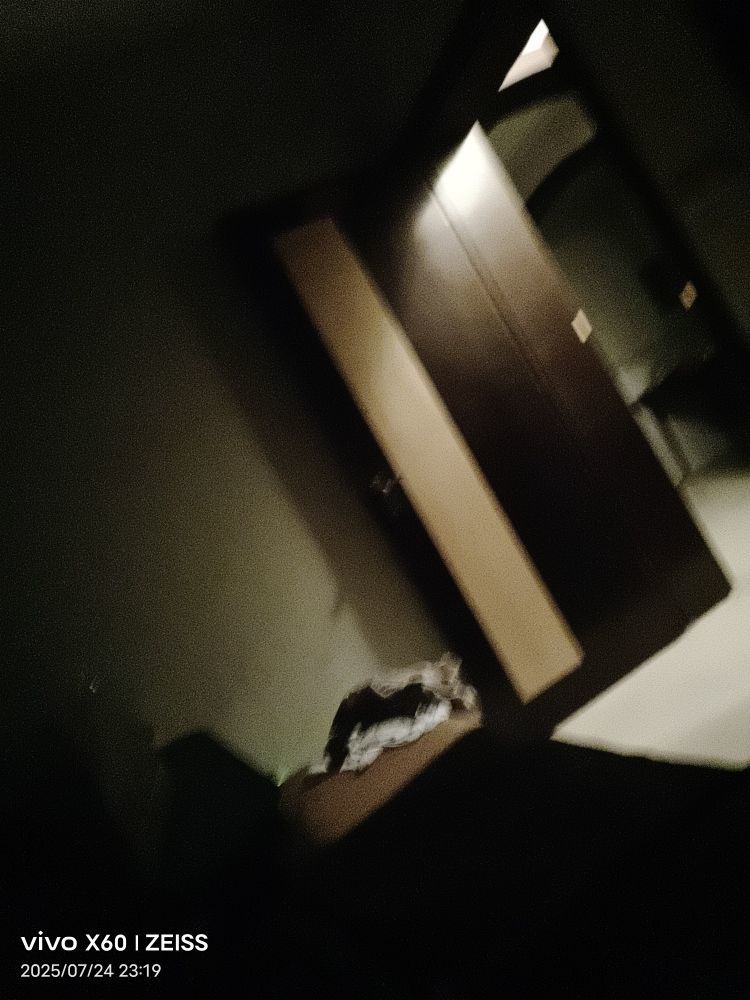 小冬喜歡看書?主播圖片
