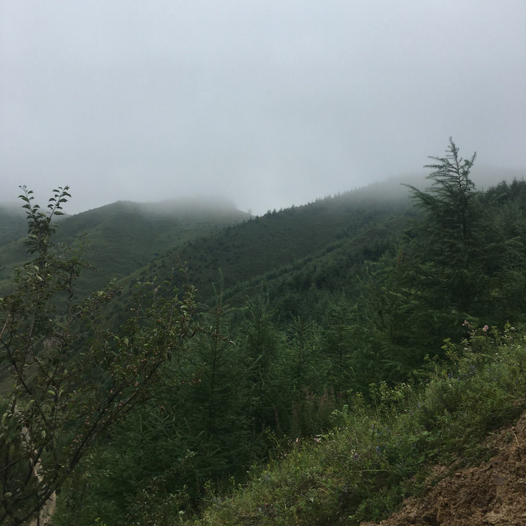 汗海桃o海报