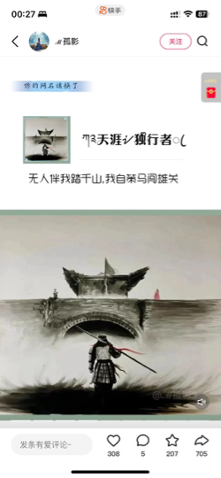 ⚡️天崖～独行客🛸海报