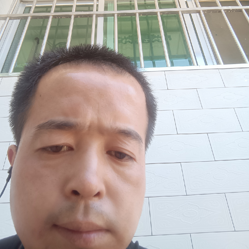 杨龙2047海报
