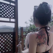 卖女孩的小火柴🙈的头像