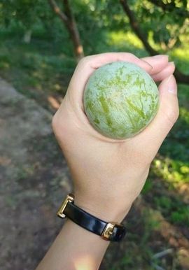 Awmpws李主播照片
