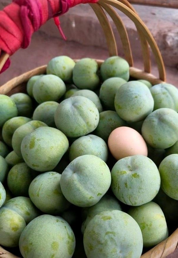 Awmpws李的主播照片