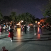 鹤鸣九皋天下闻头像