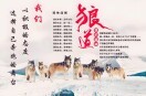 浪击天涯f