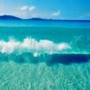 伴风望海p4