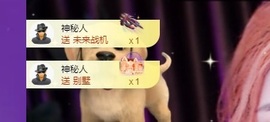 小宇馨😈加油肝主播照片