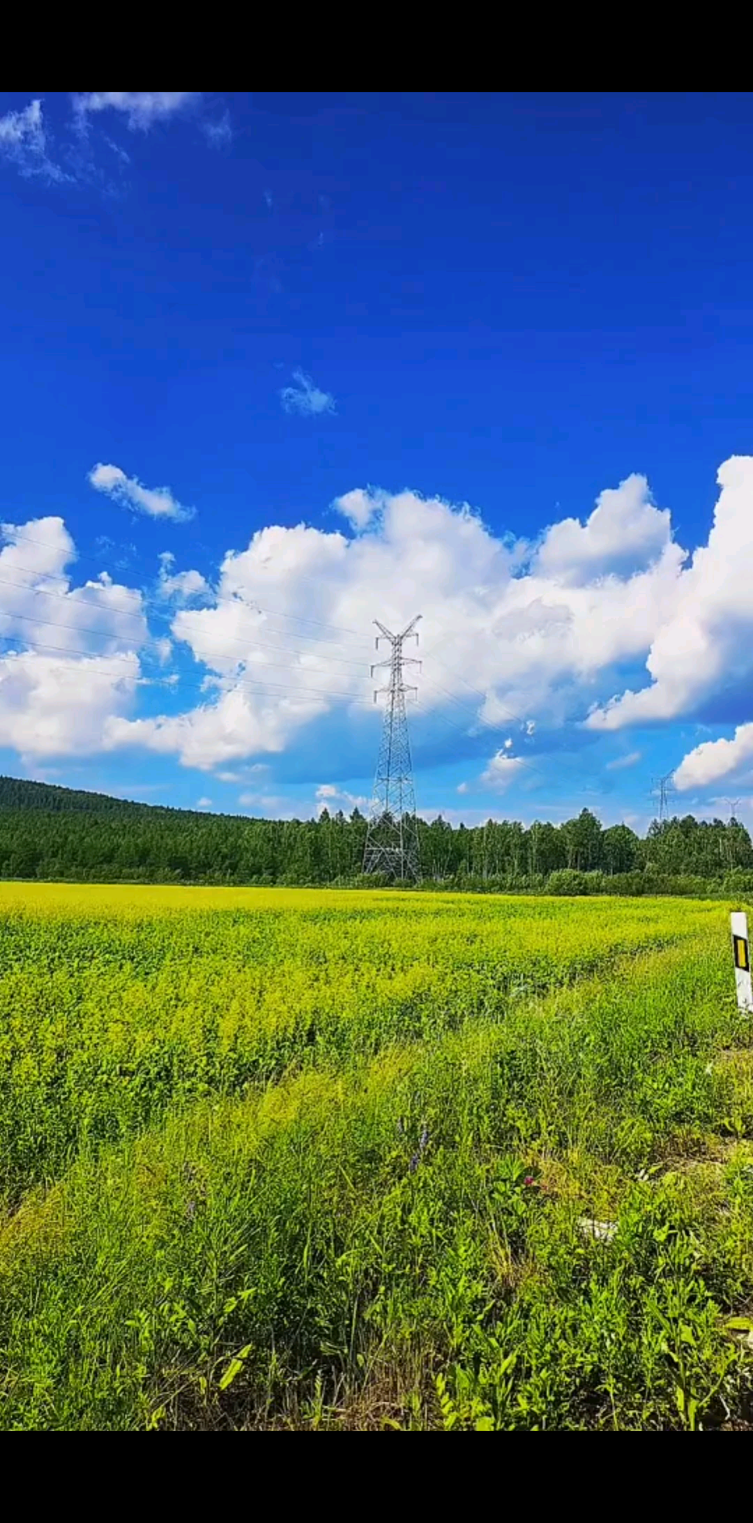 呼伦贝尔的沿途风景~