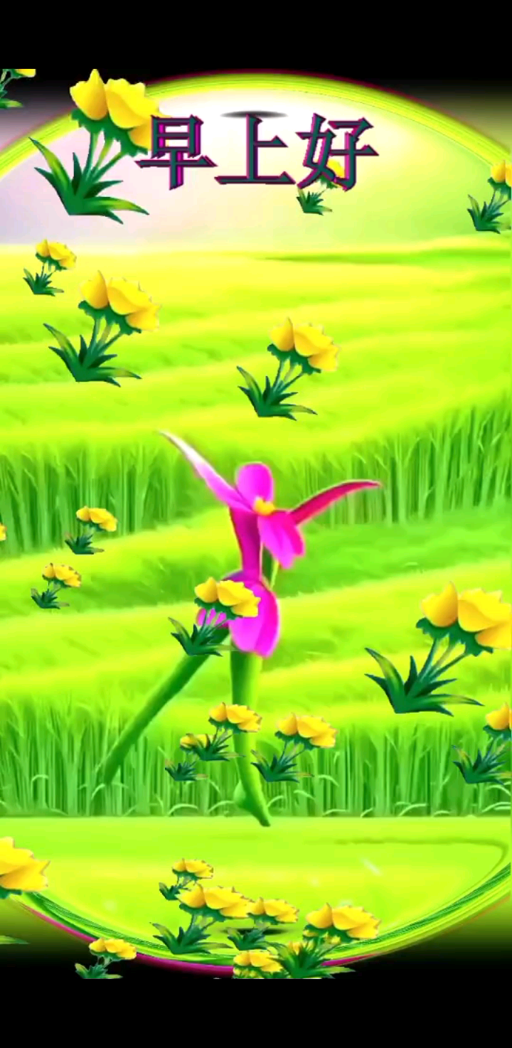 3号