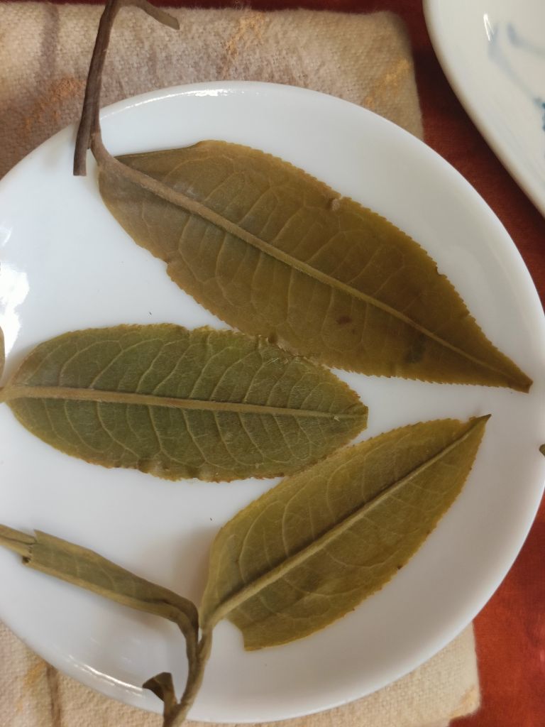 茶茶幸运星主播图片