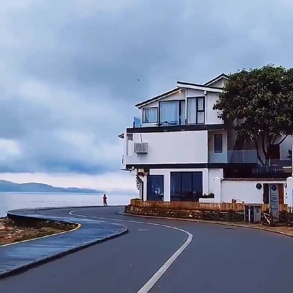 ✨小青蛙海报