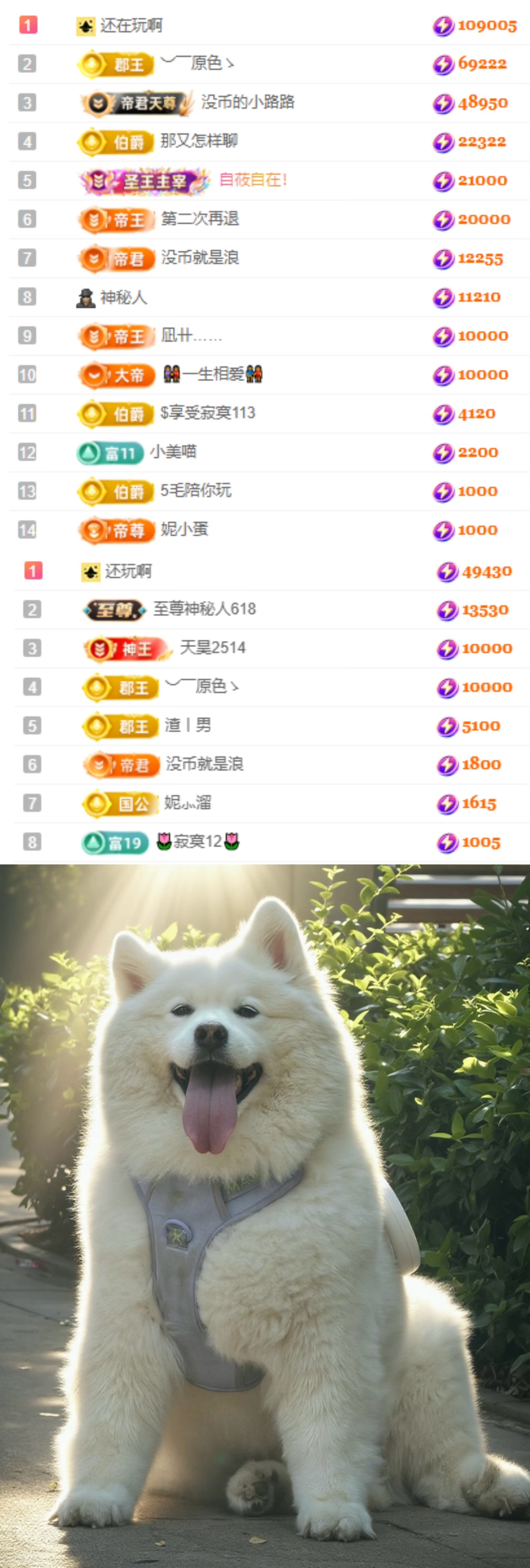 陈慧慧🥕早9晚8主播图片