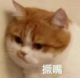 手捏Csi汽水🥤的图片