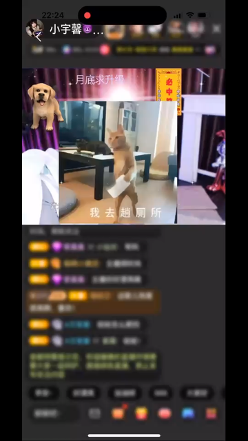 /抱拳