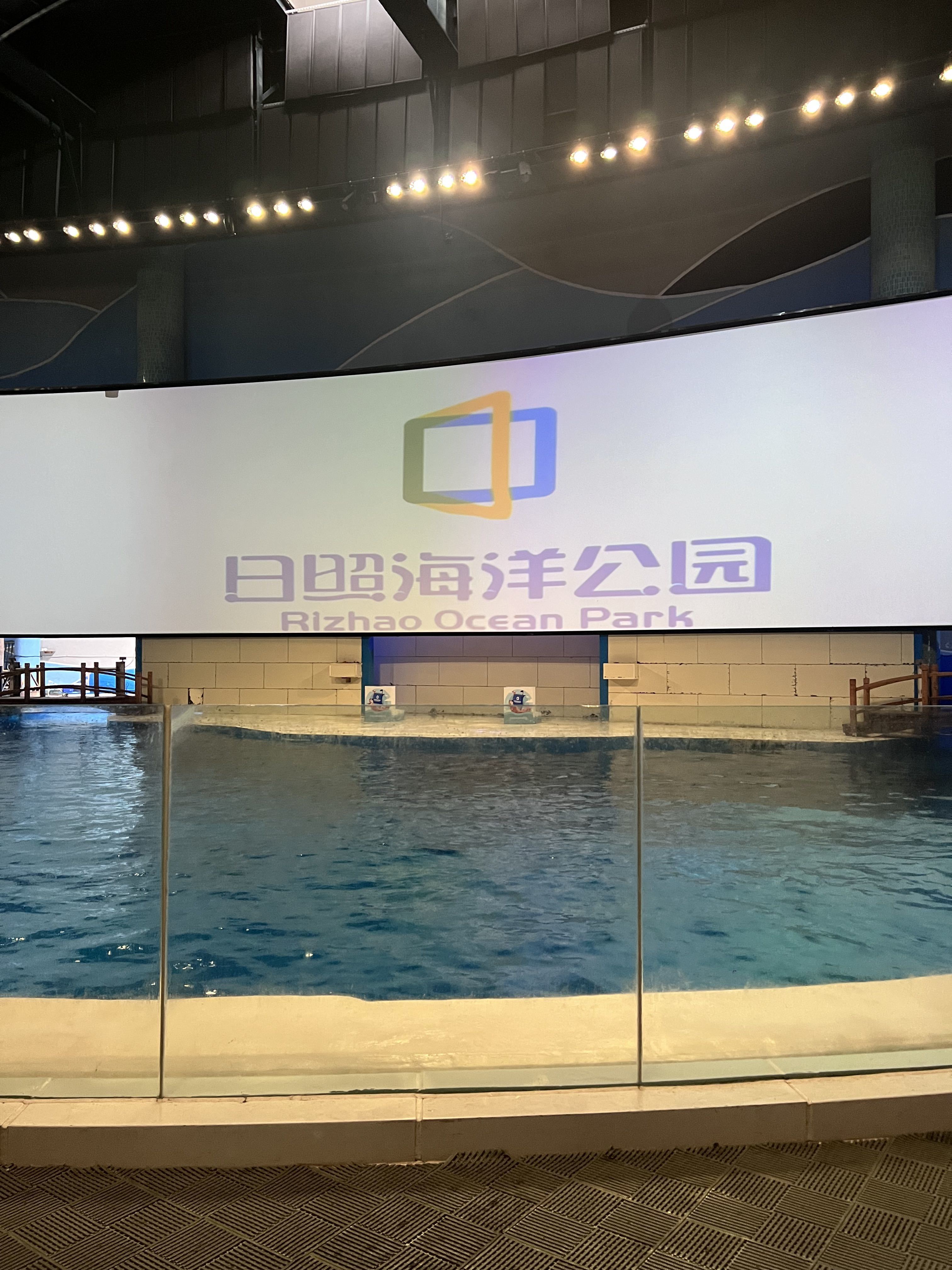慕妍期待老大6号回归的主播照片