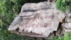 离别的车站-阳阳加油主播照片