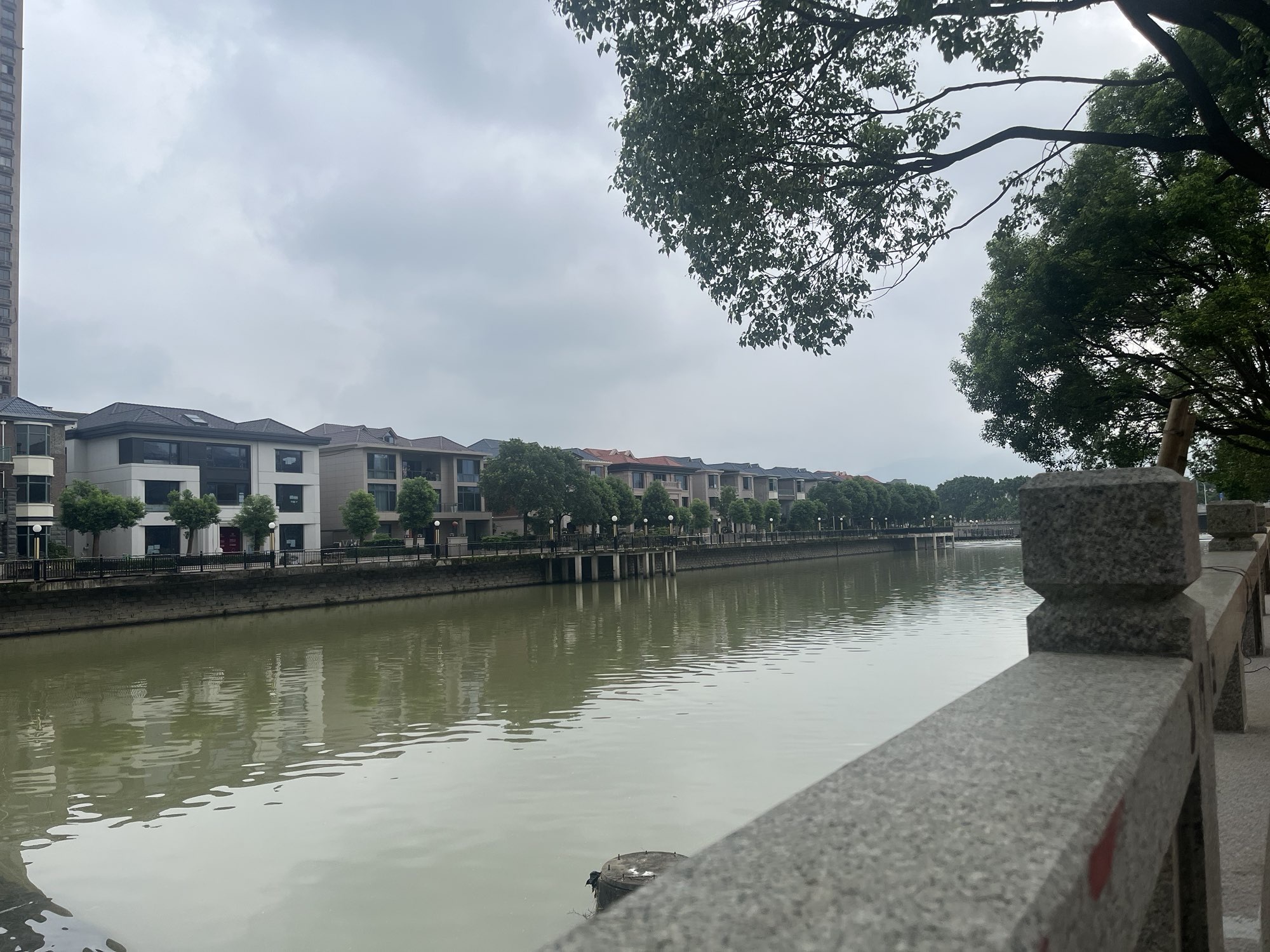 玫瑰7哥主播图片