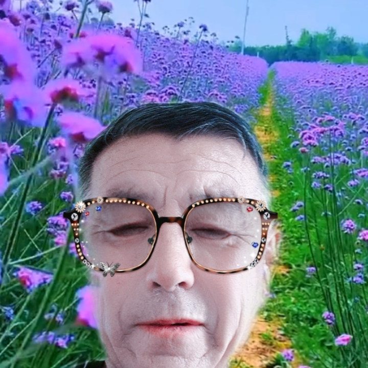 568dghmqwz海报