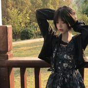 木木…a的头像