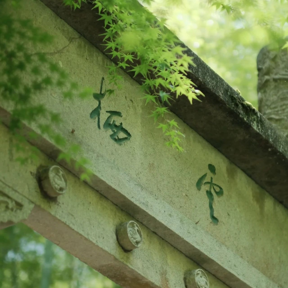 殆先生海报