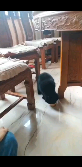 /飞吻