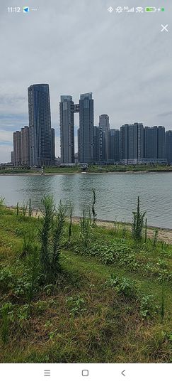婷婷💕感恩有你陪伴主播照片