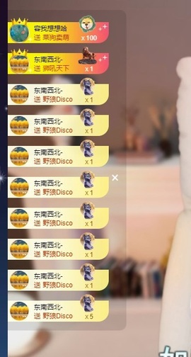 Lily喵的图片