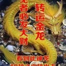 龙凤吉祥v*