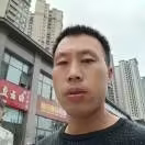 好奇长吻海蛇海报