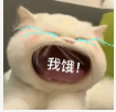 🎶柒歌的主播照片