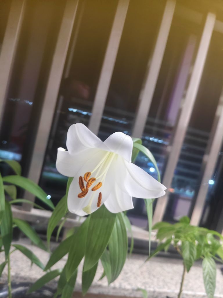 小杨who的图片