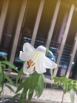 小杨who的图片