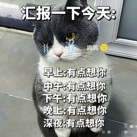周圆圆退网了的图片