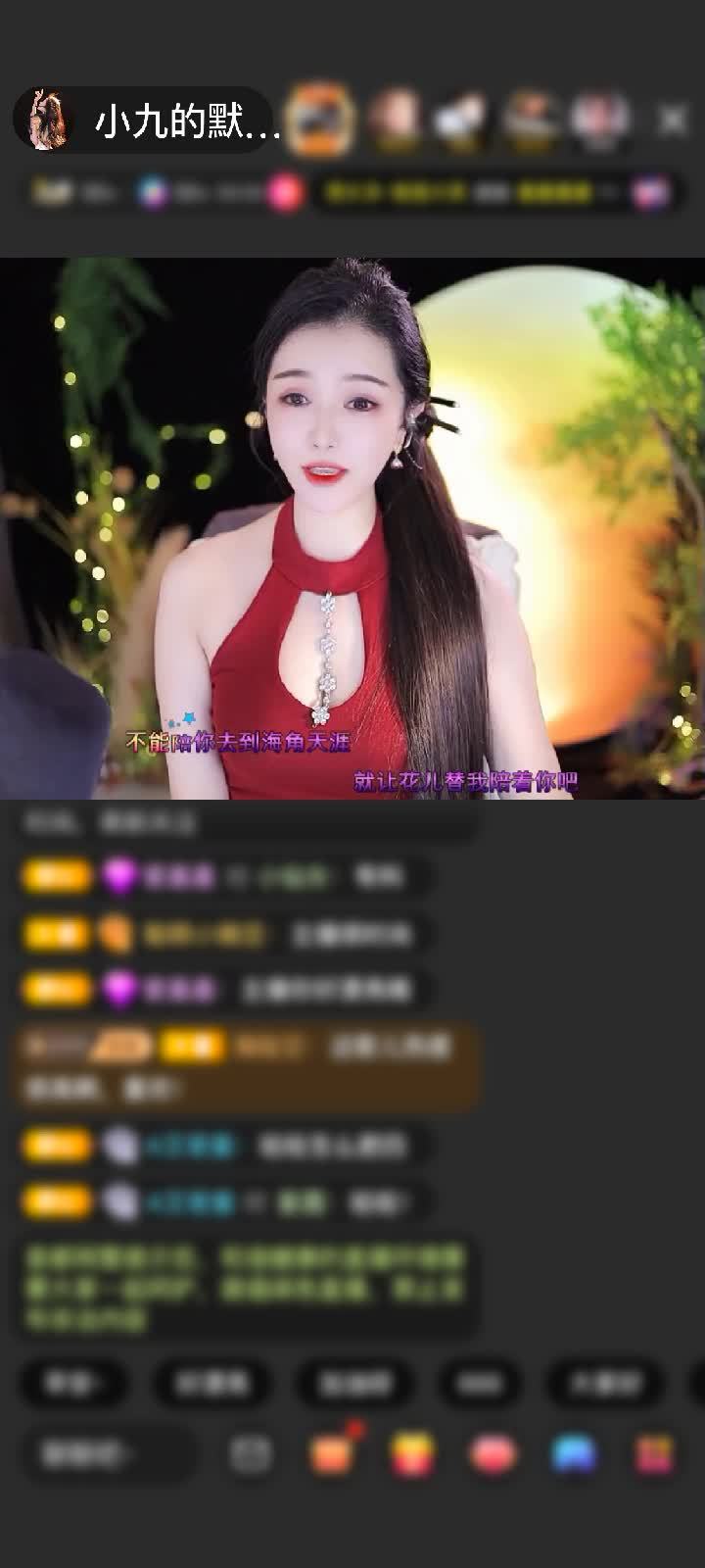 感谢好运默默A赠送菜狗卖萌13个