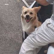 悄悄告诉你同学来了