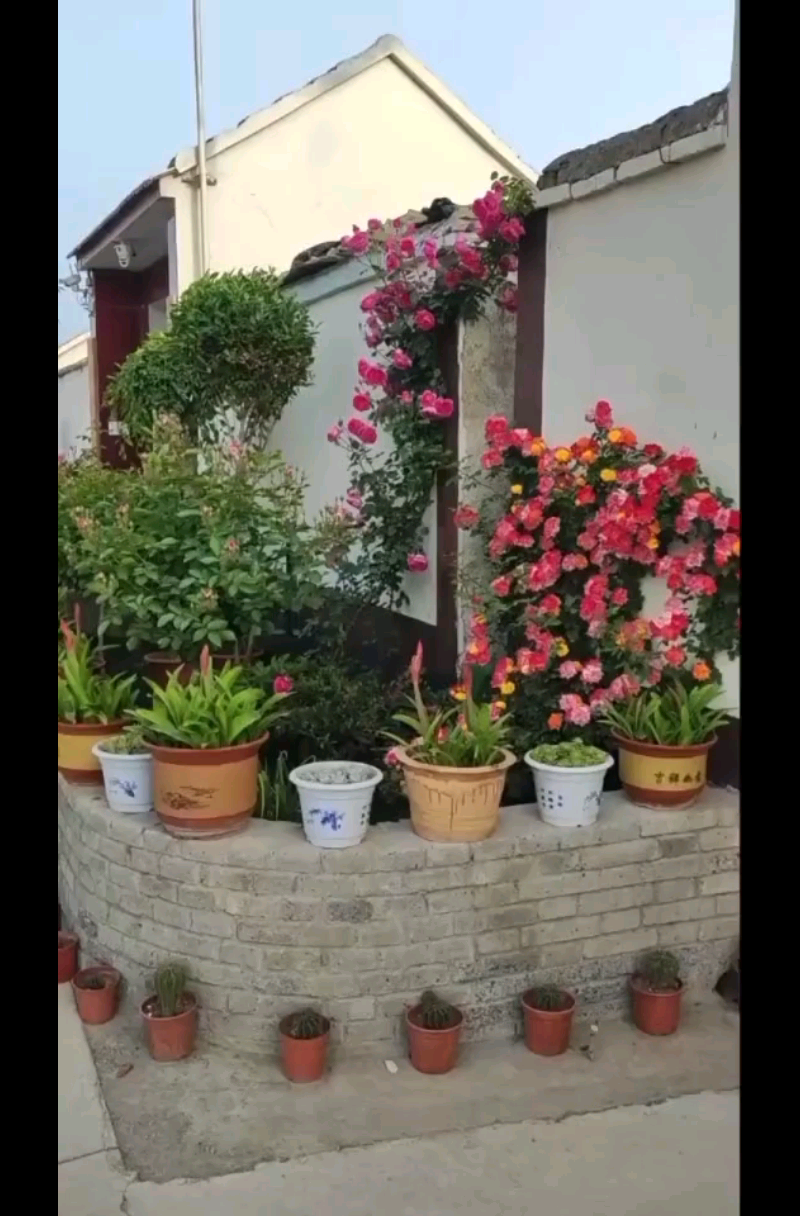 庭院深深