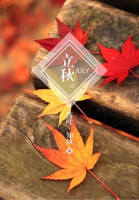 烟烟烟烟烟燕主播图片