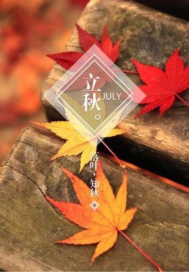 烟烟烟烟烟燕的图片