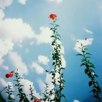 问君亦有酒否丶海报