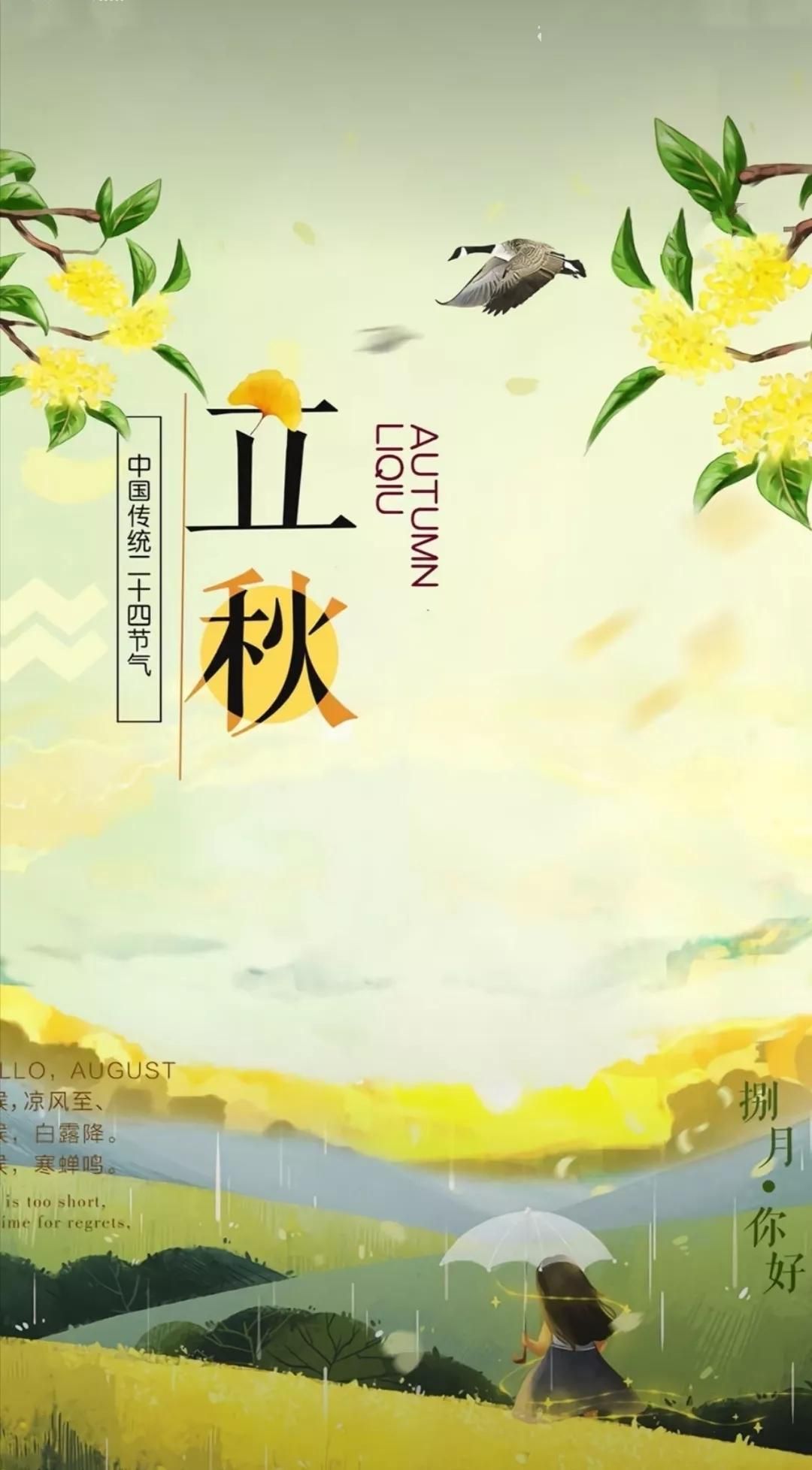小芳，🌸减肥打卡的图片