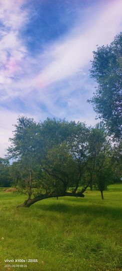妞妞骑行宁夏银川主播照片