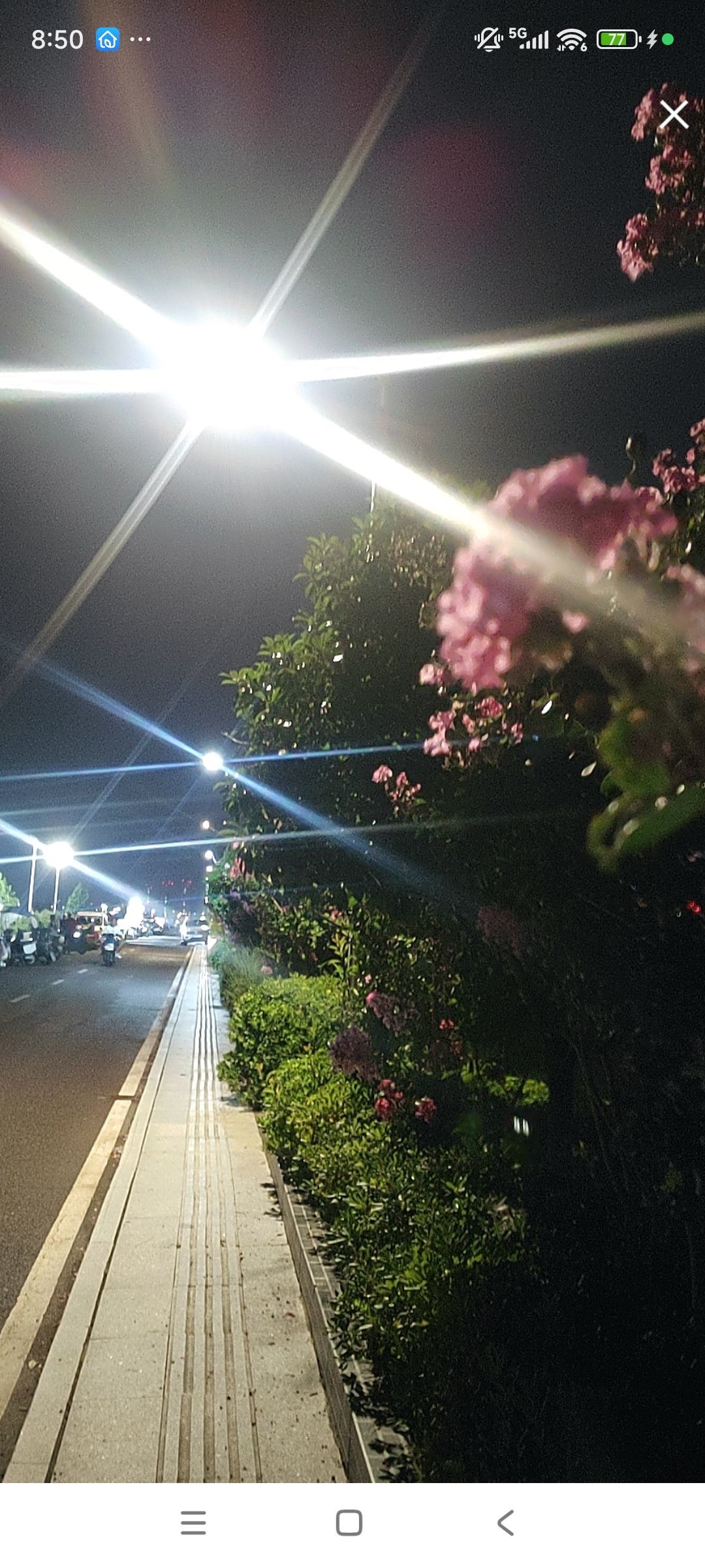 婷婷💕感恩有你陪伴的图片