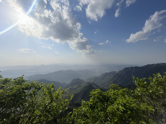 残寂静默海报