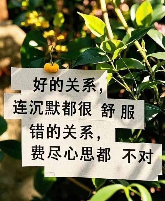 辶寸愙主播图片
