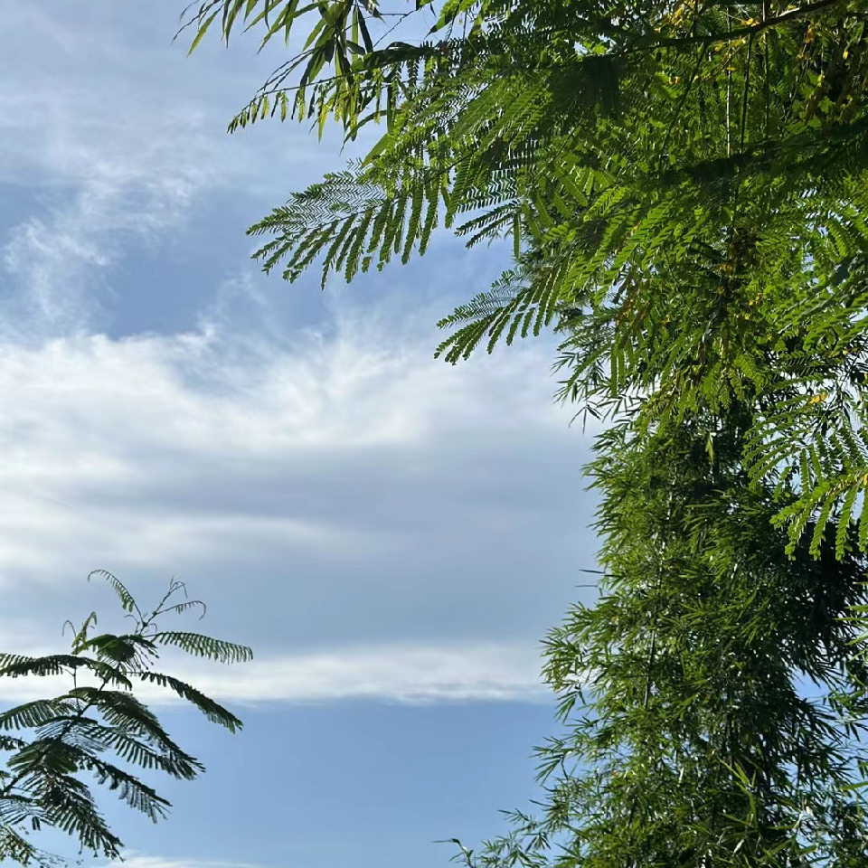 明天1f7海报