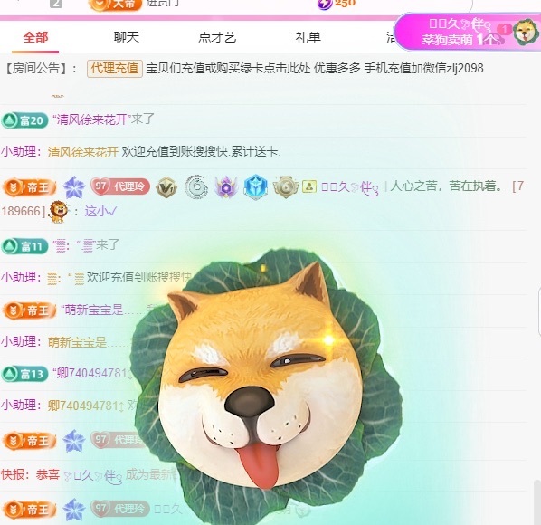 金牌代理❤玲儿❤主播图片