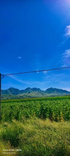 妞妞骑行宁夏银川主播照片