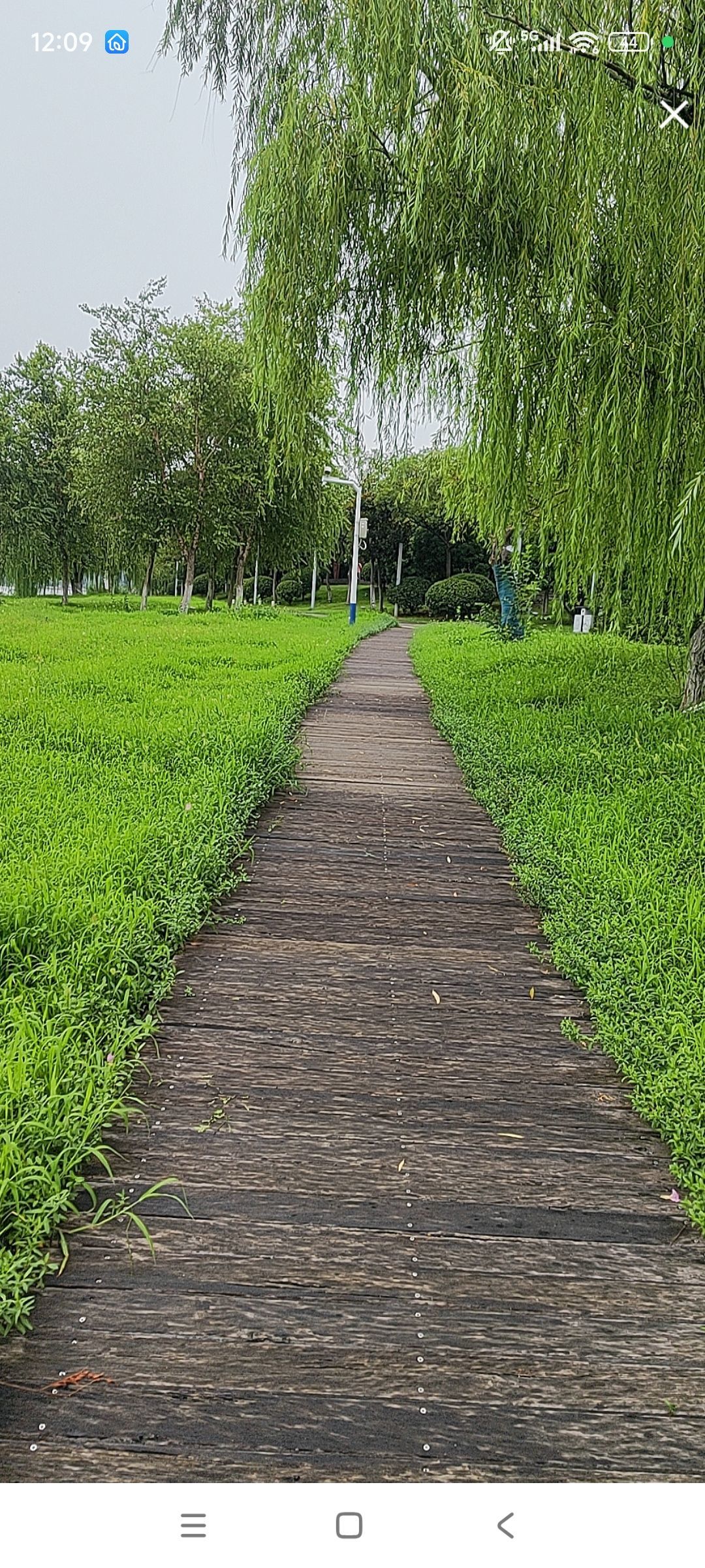 婷婷💕感恩有你陪伴的图片