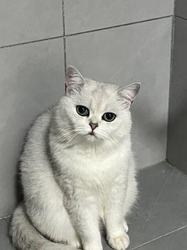 六六贼温柔的图片
