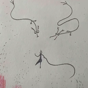 来自华盛顿的蜘蛛蟹的头像